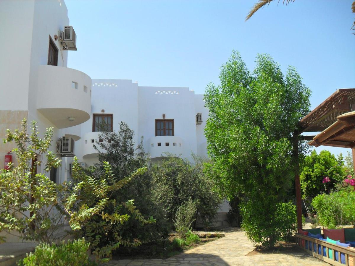 Alaska Camp & Hotel Dahab Pokoj fotografie